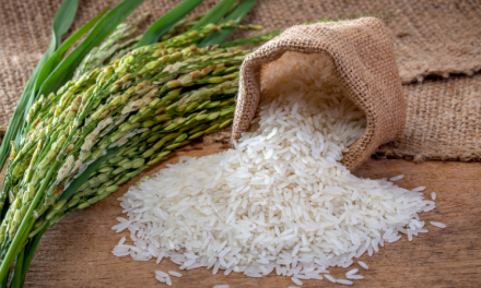 Pirincin Bilmeniz Gereken 9 Faydası