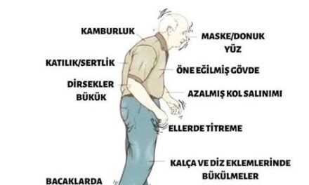 Titrek Sırlar: Parkinson Testi ve Hareketlerin Gizemli Dansı