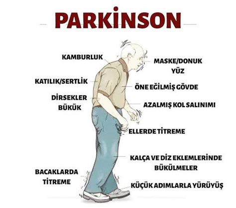 Titrek Sırlar: Parkinson Testi ve Hareketlerin Gizemli Dansı