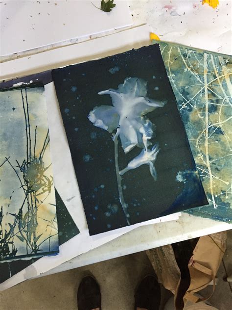 Fotoğrafçılıkta Alternatif Teknikler: Cyanotype ve Lumen Prints